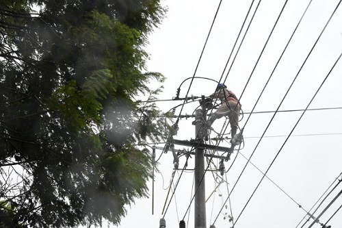 台风“梅花”登陆 国家电网全力抢险保供电